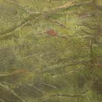 Rain Forest Green